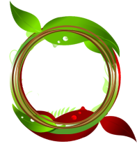 tree professionals near me